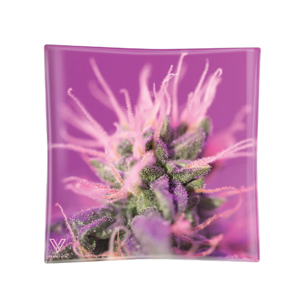 Vsyndicate Glass Blazin' Ashtrays / Pink Lemonade